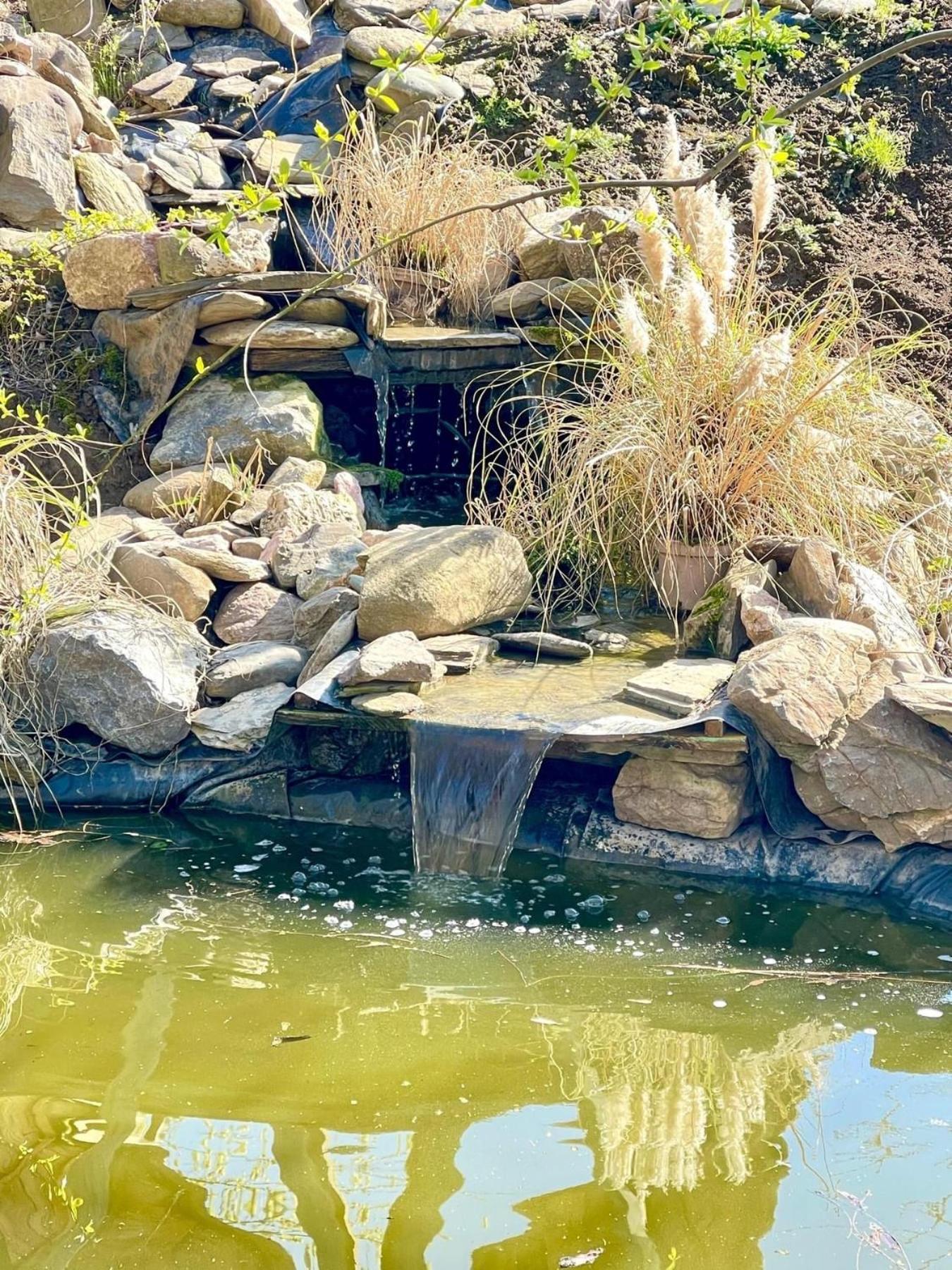 Casa Din Povesti In Mijlocul Naturii! Arad Dış mekan fotoğraf